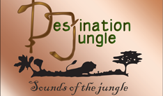Destination Jungle logo